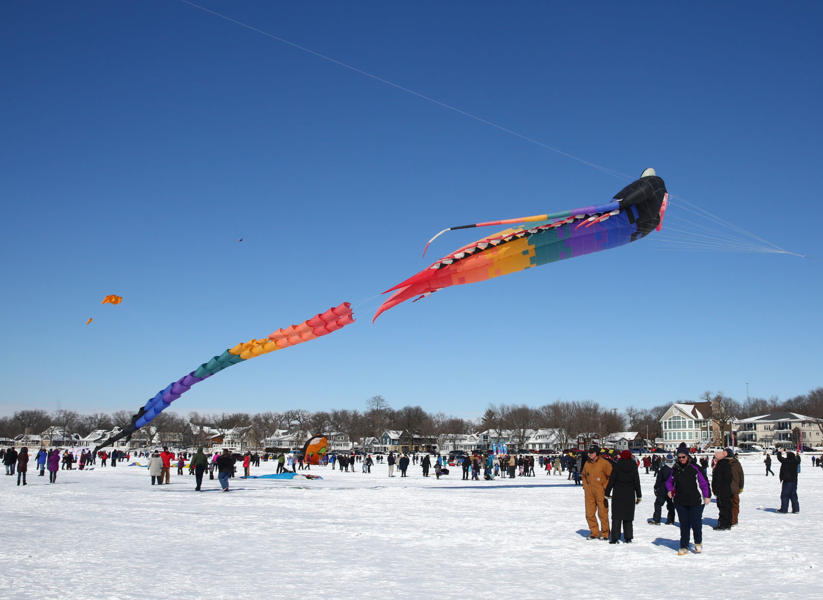 Color the Wind Kite Festival 2019 (36).jpg